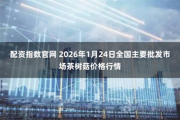 配资指数官网 2026年1月24日全国主要批发市场茶树菇价格行情