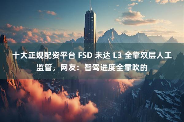 十大正规配资平台 FSD 未达 L3 全靠双层人工监管，网友：智驾进度全靠吹的