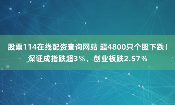 股票114在线配资查询网站 超4800只个股下跌！深证成指跌超3％，创业板跌2.57％